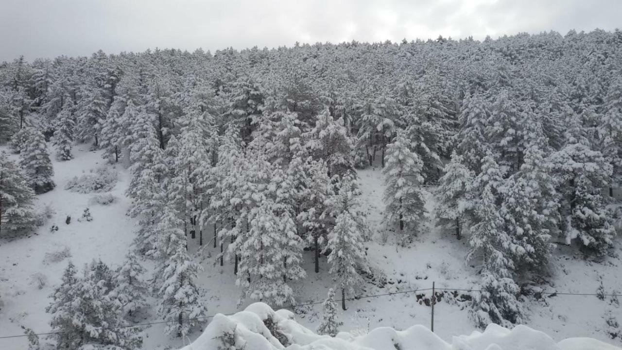 Apartamentos La Reunion Camarena de la Sierra Εξωτερικό φωτογραφία